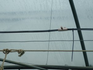 rozprašovanie v skleníku